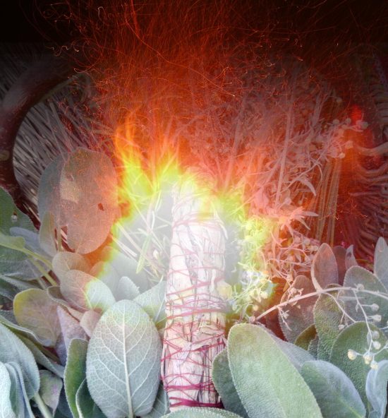 FireWand-web FireWand-web